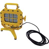Explosion Proof Floodlight with Stand, LED, 40 W, 5600 Lumens, Aluminum Housing Distribution Jean Lapalme
