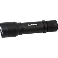 IP67 Flashlight, LED, 2000 Lumens, Rechargeable Batteries Distribution Jean Lapalme
