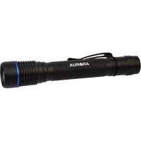 IPX7 Flashlight, LED, 250 Lumens, AA Batteries Distribution Jean Lapalme