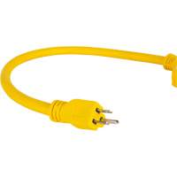 Adaptateur de rallonge d'alimentation, Ext&eacute;rieur, STOW, AWG 12/3, 15 A, 3 prise(s), 2' Distribution Jean Lapalme