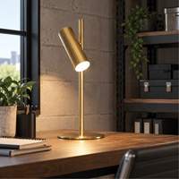 Lampe de table en m&eacute;tal avec diffuseur acrylique FR, 6 W, DEL, Col 19-3/4", Laiton Distribution Jean Lapalme