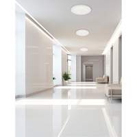 Matte White Surface Flush Mount Light Distribution Jean Lapalme