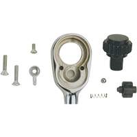 Ratchet Repair Kit Distribution Jean Lapalme