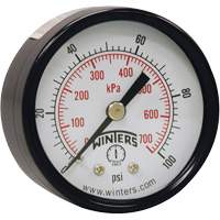 Manom&egrave;tre &eacute;conomique,  2", 0 - 160 psi, Fixation arri&egrave;re, Analogique Distribution Jean Lapalme